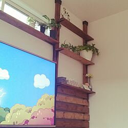 壁/天井/観葉植物/こどもと暮らす。/DIY棚/ディアウォール DIYのインテリア実例 - 2017-01-09 15:05:55