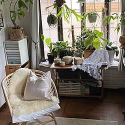 Rustic/botanicaldecor/ボタニカルインテリア/インスタはdainaorei12/DIY女子...などのインテリア実例 - 2022-05-13 07:30:26