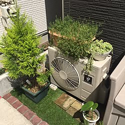 玄関/入り口/頑張りました(๑•̀∀- )و/室外機/室外機カバーDIY/日替わり投稿企画!土曜日...などのインテリア実例 - 2017-06-17 16:36:28