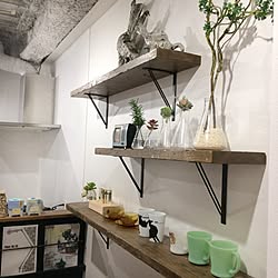 棚/かざり棚/植物/多肉植物/古材...などのインテリア実例 - 2017-04-18 21:12:51