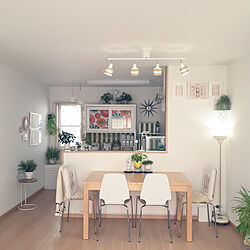 キッチン/IKEA/観葉植物/カラフル/椅子...などのインテリア実例 - 2021-01-13 12:40:57