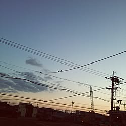 鳥/ベッド周り/SKY☆/bule/景色が好き...などのインテリア実例 - 2015-11-05 16:58:17