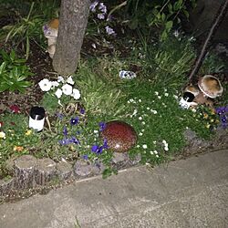 庭のインテリア実例 - 2014-05-06 23:15:09