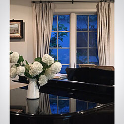 窓/窓辺/いつもありがとうございます♡/ビバーナム/グランドピアノ...などのインテリア実例 - 2020-05-11 20:17:03