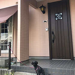 玄関/入り口/YKK玄関ドアのインテリア実例 - 2018-03-25 10:25:13