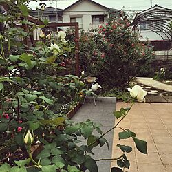 玄関/入り口/薔薇の庭をめざしてのインテリア実例 - 2016-05-08 09:48:51
