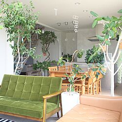 部屋全体/カフェ風インテリア/ステンレスキッチン/植物のある生活/観葉植物...などのインテリア実例 - 2017-07-19 13:36:51