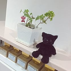 玄関/入り口/ホワイト×ブラウン/観葉植物/へデラ/ぬいぐるみ...などのインテリア実例 - 2015-05-21 09:08:21