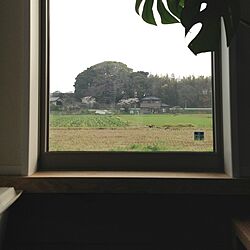 玄関/入り口/玄関土間/風景/桜のインテリア実例 - 2013-03-29 08:23:31