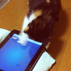 iPadのインテリア実例 - 2013-04-04 23:26:06