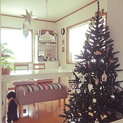 ダイニング/クリスマス/IKEA/ニトリ/犬のいる暮らし...などのインテリア実例 - 2015-11-18 10:23:16