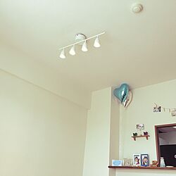 壁/天井/照明/IKEAのインテリア実例 - 2016-06-08 13:29:03