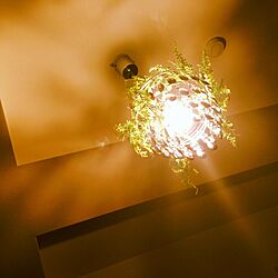 壁/天井/いなざうるす屋さん/フェイクグリーン/照明のインテリア実例 - 2013-10-30 01:44:36