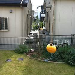 庭/柿のインテリア実例 - 2012-11-08 13:02:10