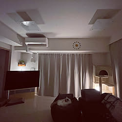 シンプル/LEDライト/フロアランプ 間接照明/わが家の明かり/猫...などのインテリア実例 - 2022-11-27 20:09:23
