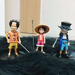 部屋全体/ディスプレイ/DIY/フィギュア/ONE PIECE...などのインテリア実例 - 2018-01-15 08:08:48