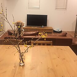 机/ACTUSソファー/IKEAのダイニングテーブル/いい香り/蝋梅の花...などのインテリア実例 - 2016-12-29 18:41:37