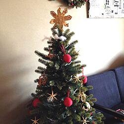 リビング/クリスマスツリーのインテリア実例 - 2013-08-13 15:15:23