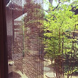 壁/天井/平屋/植物/庭のインテリア実例 - 2014-07-02 11:32:33