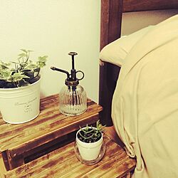 ベッド周り/植物/雑貨/ハンドメイド/DIY...などのインテリア実例 - 2014-06-30 01:03:33