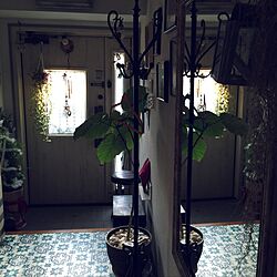 玄関/入り口/観葉植物/鏡のインテリア実例 - 2016-11-07 11:33:53