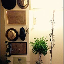 壁/天井/一人暮らし/DIY/ダイソー/観葉植物のインテリア実例 - 2015-04-30 22:16:05