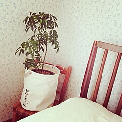 ベッド周り/植物/子供椅子/鉢カバーのインテリア実例 - 2013-07-20 12:37:43