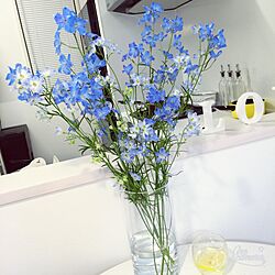 リビング/花のインテリア実例 - 2016-05-15 01:59:30