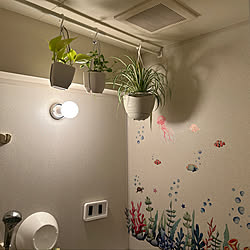 観葉植物♡/バス/トイレのインテリア実例 - 2023-05-06 12:58:55