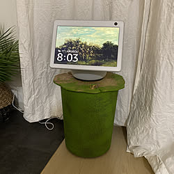 RoomClipアンケート/DIY/観葉植物/フェイクグリーン/リビングのインテリア実例 - 2022-04-02 20:04:29