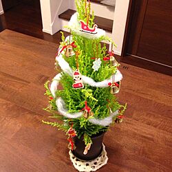 机/オーナメント/クリスマスツリー/手作り/植物...などのインテリア実例 - 2013-11-24 00:12:10