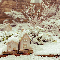 雪の庭/そういえば雪景色/ジオラマ/玄関/入り口のインテリア実例 - 2022-01-22 12:55:41