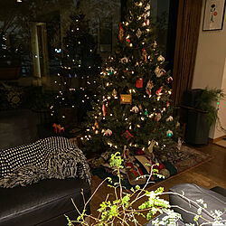 クリスマスツリー180cm/棚のインテリア実例 - 2020-11-27 20:46:38