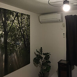 5畳/カーテン/壁掛け写真/部屋全体のインテリア実例 - 2019-04-13 21:00:38