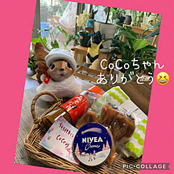 干し芋嬉しい/CoCo ちゃんからの素敵便/CoCo0617ちゃんありがとう❤︎/見てくれてありがとうございます♡/雑貨...などのインテリア実例 - 2023-01-10 14:25:04