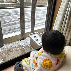 雪/赤ちゃんのいる暮らし/あかちゃんのいる部屋/子供/子供のいる暮らし...などのインテリア実例 - 2023-02-10 12:48:11