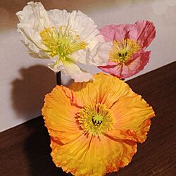 玄関/入り口/花/植物のインテリア実例 - 2013-03-15 08:40:22