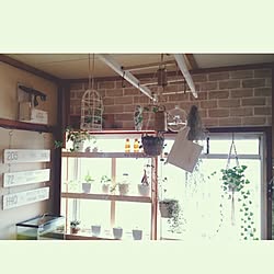 部屋全体/団地/DIY/ラダーＤIY/棚DIY...などのインテリア実例 - 2016-02-11 07:43:38