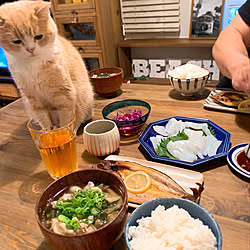 マリンスタイル/カフェ風/おうちカフェ/おうちごはん/ねこバカ...などのインテリア実例 - 2019-05-28 22:39:01