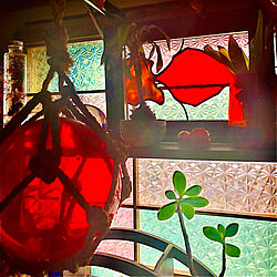 iirey ちゃんのステンドグラス/大正ロマン/浮き玉/和室です。/観葉植物...などのインテリア実例 - 2020-03-28 08:21:27