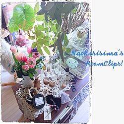 リビング/薔薇/ベランダのお花/植物/雑貨がごちゃごちゃのインテリア実例 - 2014-01-18 20:28:28