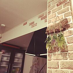 キッチン/IKEA/DIY/観葉植物/流木...などのインテリア実例 - 2016-02-24 19:24:03