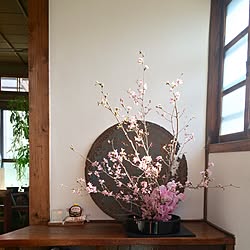 玄関/入り口/お花見/桜/明るい玄関/和やか...などのインテリア実例 - 2016-03-24 22:22:59