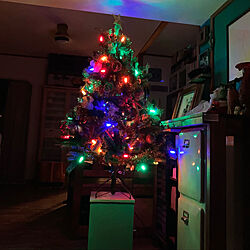 クリスマス/クリスマスツリーのインテリア実例 - 2021-12-25 01:47:46