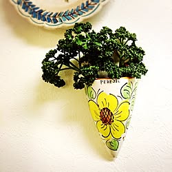 キッチン/スペイン土産/パセリ用壁掛け花瓶のインテリア実例 - 2017-06-03 06:26:04