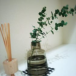 棚/植物/HOLMEGAARDのインテリア実例 - 2014-02-15 20:13:20