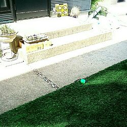 玄関/入り口/人工芝生をひいてみたのインテリア実例 - 2015-05-08 14:25:49