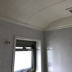 バス/トイレ/ドーム型の天井/パナソニックバスルームのインテリア実例 - 2017-10-10 12:46:51