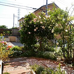 玄関/入り口/お花大好き♡/薔薇のある庭のインテリア実例 - 2017-05-22 22:38:32