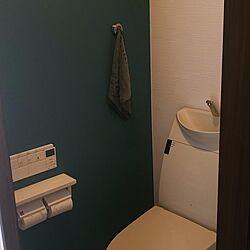 シンプル/ダルトン/バス/トイレのインテリア実例 - 2020-11-19 14:05:50
